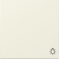 Gira Wippe mit Symbol Licht weiß, Retail