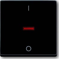 Busch-Jaeger Kontroll-Wippe mit Aufdruck Ein Aus anthrazit, Retail