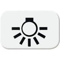 Busch-Jaeger Tastersymbol aws 2525 LI-214, Rahmen weiß, Retail