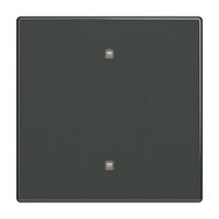 Busch-Jaeger Wippe Elektroniktaster anthrazit, Retail