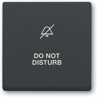 Busch-Jaeger Wippe mit Aufdruck anthrazit, Retail