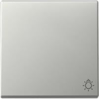 Gira Wippe Symbol Licht edelstahl, Retail