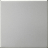 Gira Wippe einfach unbedruckt System 55 Bedienwippe Ersatz edelstahl, Retail