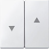 Merten Wippe für Rollladenschalter und Wipptaster Einsatz, Typ 435519, zweiteilige Wippe weiß (matt), Retail