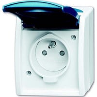 Busch-Jaeger Steckdose Aluminium-Druckguss 23 MWKS-53-504 blau, Retail