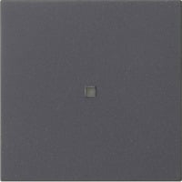 Gira Funk Bedienaufsatz, Fernsteuerung anthrazit, Retail