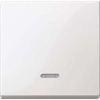 Merten Wippe Kontrollfenster für Schalter und Taster Einsatz, glänzend, 1-fach, Thermoplast weiß (glänzend), Retail