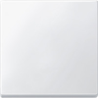 Merten Wippe für Wechselschalter, Kreuzschalter und Taster, 1-fach, Duroplast, glänzend weiß (glänzend), Retail