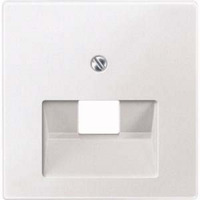 Merten Zentralplatte für Universal-Anschluss-Einsätze, Typ 298319, Unterputzmontage, Kunststoff weiß (matt), Retail