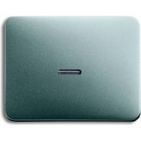 Busch-Jaeger Kontroll-Wippe Aus Wechselschalter Kreuzschalter Taster titan, Retail