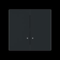 Busch-Jaeger Wippe mit zwei Wippenhälften schwarz, Retail