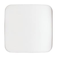 Busch-Jaeger Zentralscheibe aws, Rahmen weiß, Retail