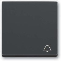 Busch-Jaeger Wippe mit Aufdruck anthrazit, Retail