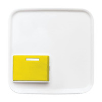 Busch-Jaeger Zentralscheibe Abstelltaste mit LED-Erinnerungslampe, Rahmen weiß, Retail