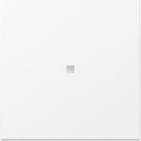 Gira Wippe Kontrollfenster weiß, Retail