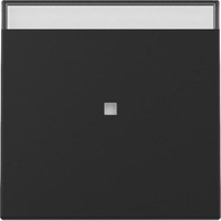 Gira Wippe Kontrollfenster einteilige Wippe schwarz, Retail