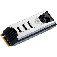 Patriot Viper PV553 2TB, SSD schwarz/weiß, PCIe 5.0 x4, NVMe 2.0, M.2 2280