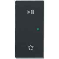 Busch-Jaeger Wippe anthrazit, Retail