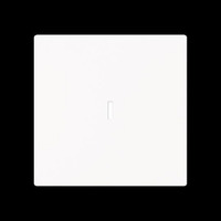 Busch-Jaeger Wippe mit Beschriftungsfeld weiß, Retail