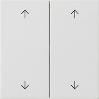 Gira Wippe zwei fach weiß, Retail