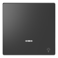 Merten Wippe mit Kontrollfenster anthrazit, Retail