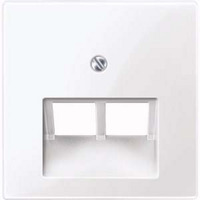 Merten Zentralplatte Aufputz/Unterputz-Einsatz für Universal-Anschluss-Einsätze 2-fach weiß (glänzend), Retail