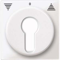 Merten Zentralplatte für Rollladeneinsatz, Ausführung Key Switch, glänzend, Thermoplast weiß (glänzend), Retail