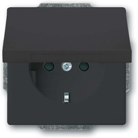 Busch-Jaeger Schutzkontaktsteckdose Einsatz Typ F 20 EUKB-81 anthrazit, Retail