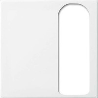 Busch-Jaeger Zentralscheibe als Abdeckung für Universalsteckvorrichtung, Rahmen weiß, Retail