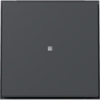 Gira Wippe mit Kontrollfenster Diebstahlschutz durch optional verschraubbares Klemmstück anthrazit, Retail