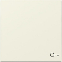 Gira Wippe mit Symbol Tür weiß, Retail