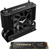 Team Group T-Force GA PRO 1 TB, SSD schwarz, PCIe 5.0 x4 | M.2 2280 | T-FORCE DARK AirFlow-Kühlkörper
