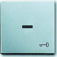 Busch-Jaeger Wippe mit Symbol Schlüssel 1789 TR-83 Retail