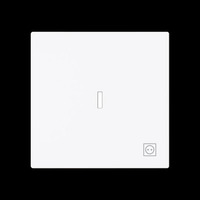 Busch-Jaeger Wippe mit Symbol Stecker mit transparenter Kalotte weiß, Retail