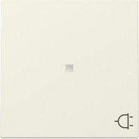 Gira Wippe Kontrollfenster und Symbol Steckdose weiß, Retail