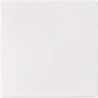 Merten Sensorfläche AQUADESIGN mit Kurzhubtaste, Schutzart IP44, Typ 573819, Zentralplatte weiß (glänzend), Retail