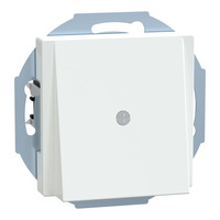 Merten Zentralplatte mit Traggestell und Zugentlastung, Unterputz, Kunststoff, glänzend weiß (glänzend), Retail