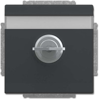 Busch-Jaeger Schutzkontakt-Steckdosen-Einsatz anthrazit, Retail