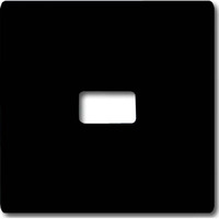 Busch-Jaeger Wippe offen für Symbol anthrazit, Retail