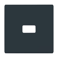 Busch-Jaeger Wippe offen für Symbol anthrazit, Retail