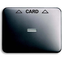 Busch-Jaeger Zentralscheibe für Cardschalter, Abdeckung platin, Retail