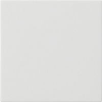 Gira Wippe einefach weiß, Retail