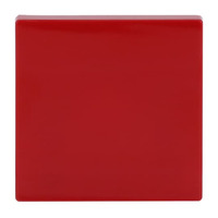 Busch-Jaeger Wippe rot, Retail