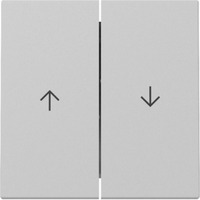 Gira Wippe zweifach mit Pfeilsymbol grau, Retail