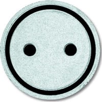 Busch-Jaeger Tastersymbol Steckdose 2144 ST Retail