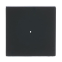 Busch-Jaeger Wippe future linear schwarz, Retail