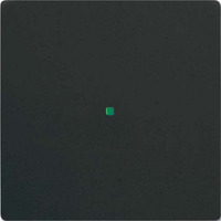 Busch-Jaeger Wippe future linear schwarz, Retail