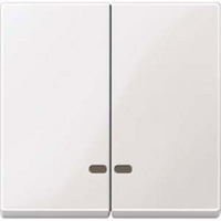 Merten Doppelwippe mit Kontrollfenster für Serien- und Doppeltaster-Einsatz, glänzend weiß (glänzend), Retail