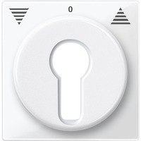 Merten Zentralplatte für Rollladeneinsatz, Ausführung Key Switch, glänzend, Thermoplast weiß (glänzend), Retail