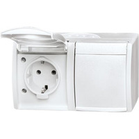 Busch-Jaeger Schutzkontakt-Steckdose zweifach mit Klappdeckel Typ 20/2 EW-54, Aufputz, IP44 weiß (matt), Retail